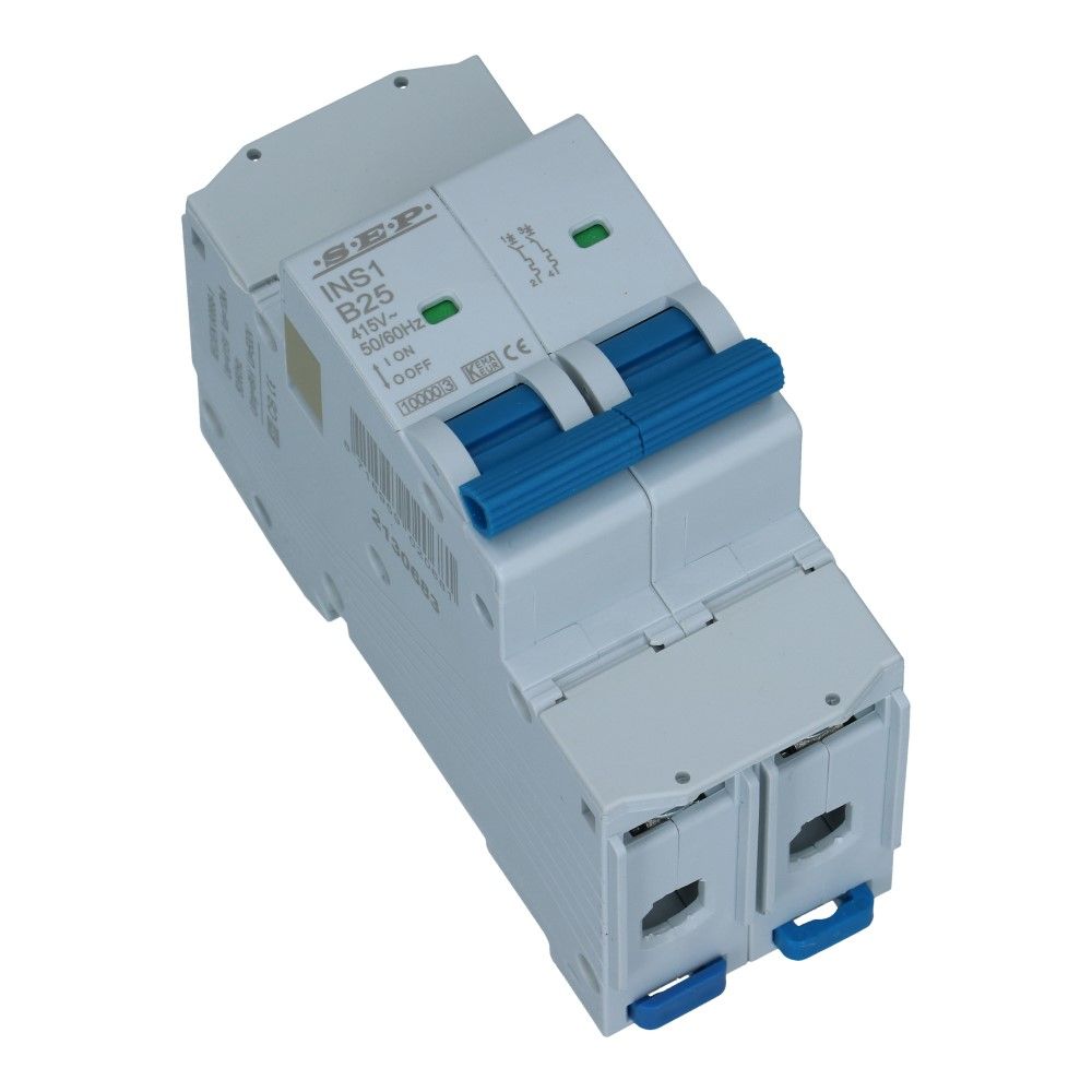 Installatieautomaat  2 polig 40A karakteristiek D 10/15kA INS1