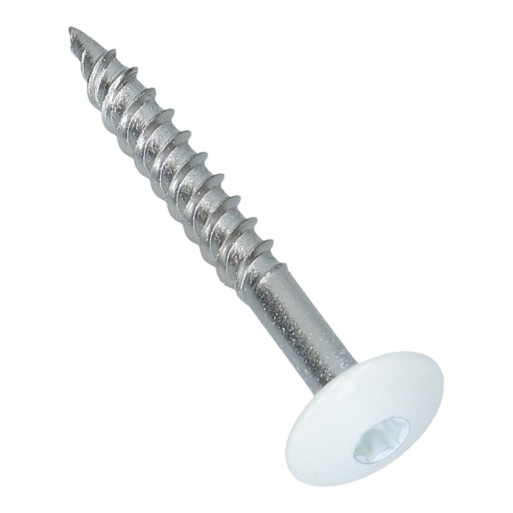 Kleurkopschroef 4.8x38 Torx 20 RAL9010 - 100 stuks