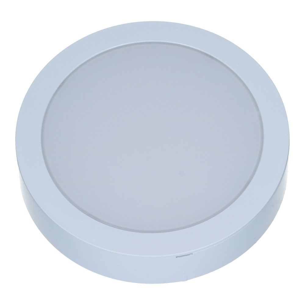 LED downlight inbouw/opbouw IP20 12W 1200lm 4000K 170mm
